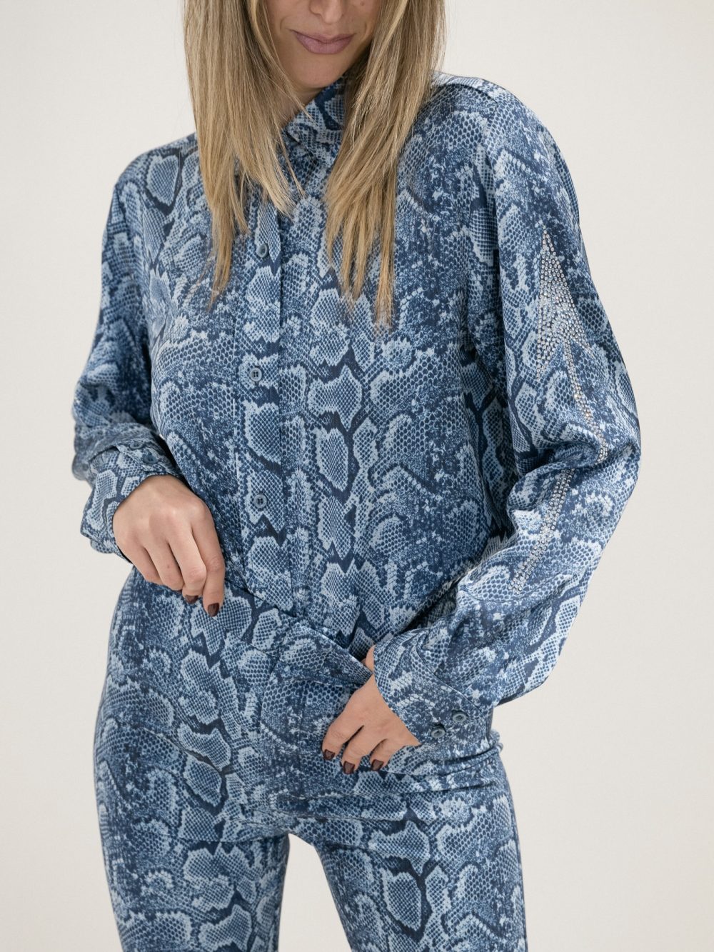 Blue Snake Print Shirt