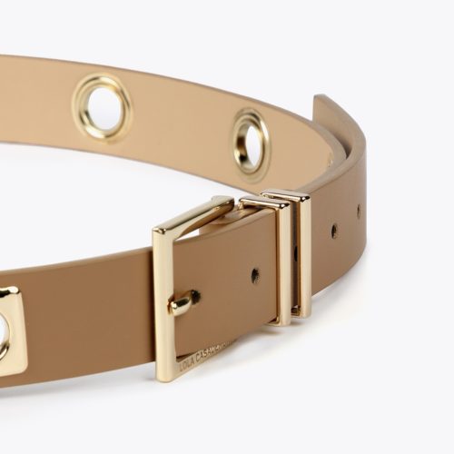 Camel Metal Piece Belt