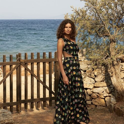 εικόνα-5 Assy Dress