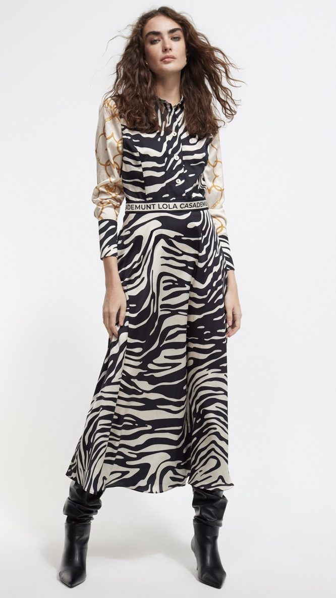 Zebra Print Dress