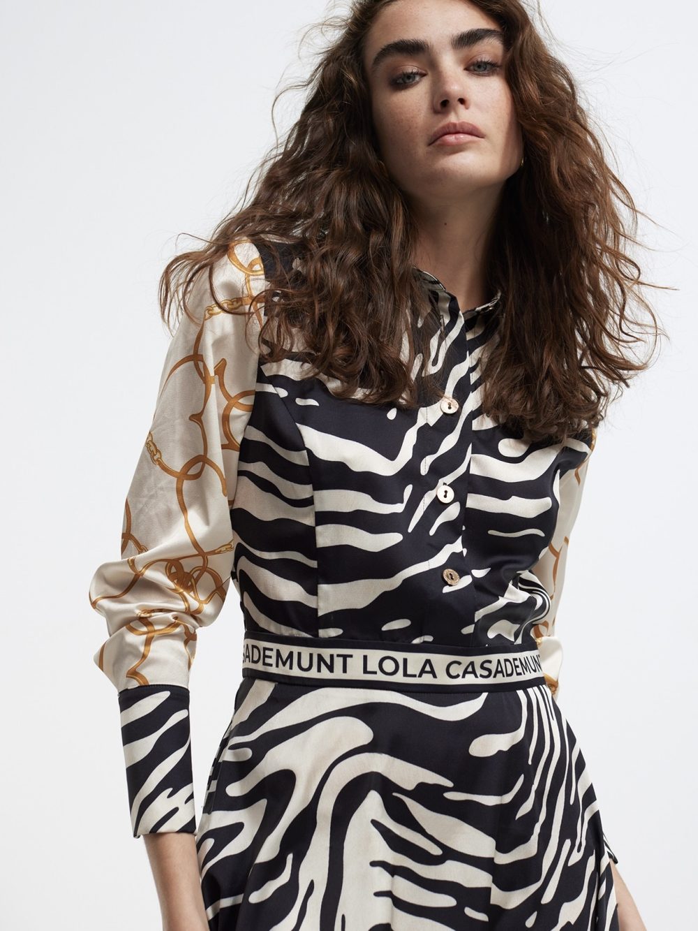 Zebra Print Dress