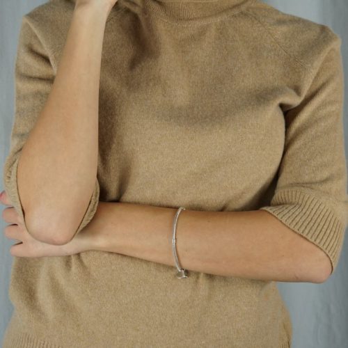 Camel Turtleneck Blouse