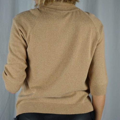Camel Turtleneck Blouse